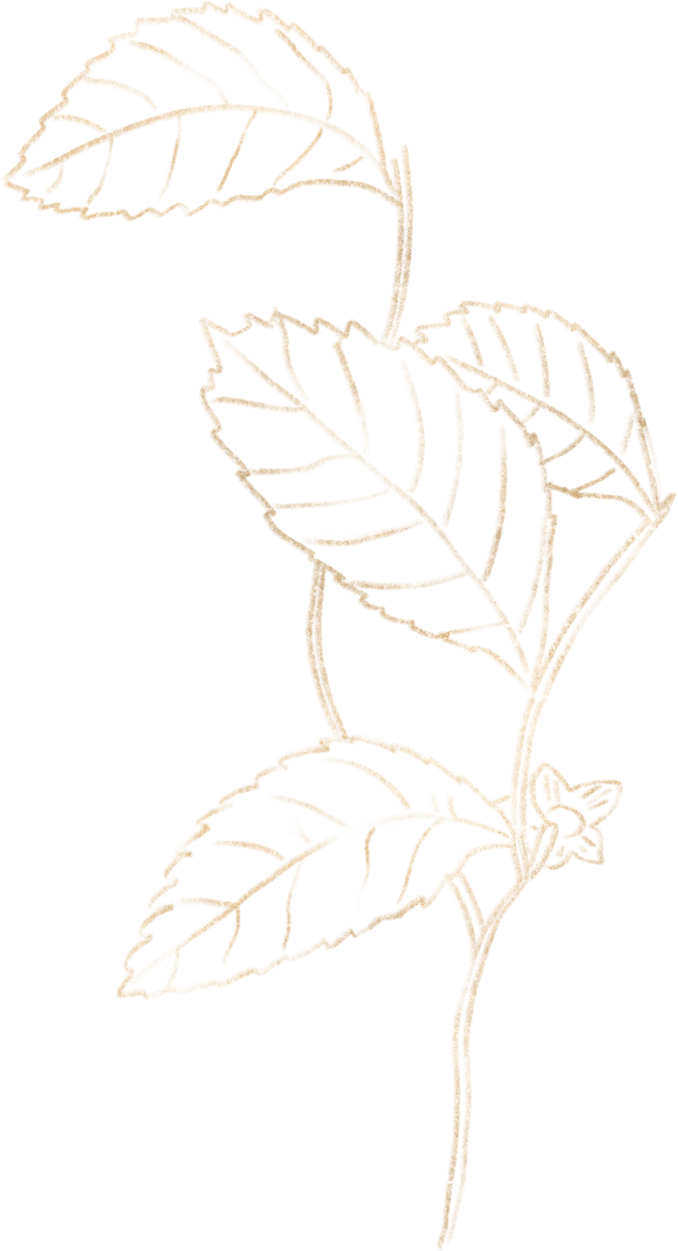 Gentle gold line flower